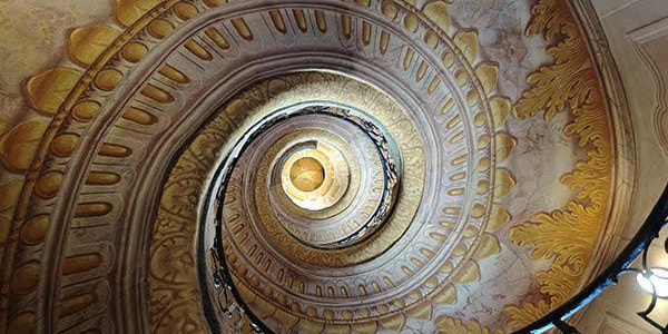 最新クルーズの紹介